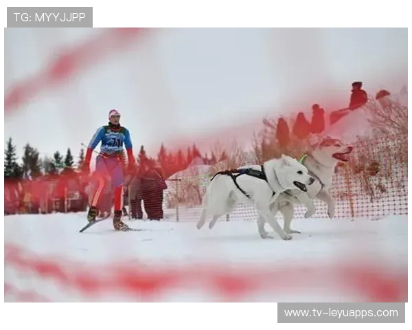 雪橇锦标：俄罗斯队稳居金牌榜，冲击纪录！，2021雪橇世锦赛